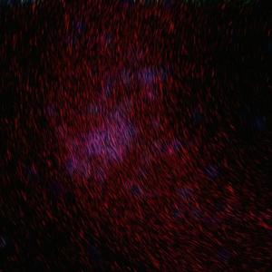 aSS高龄老太性Pis
